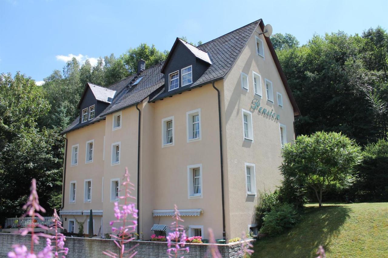 Appartements Im "Landhaus Am Frohnauer Hammer" Annaberg-Buchholz Exterior photo